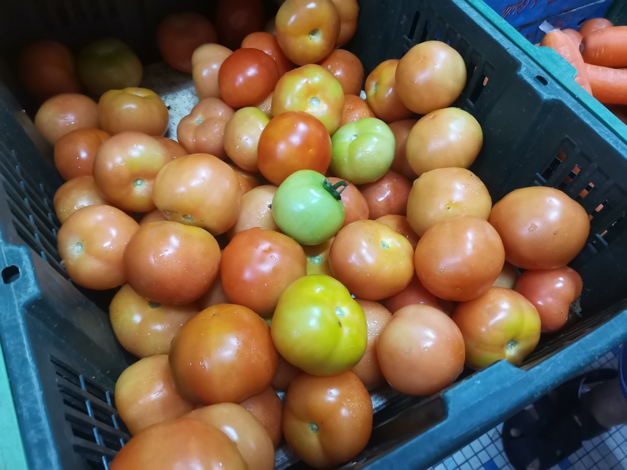 东封面:菜跌价了