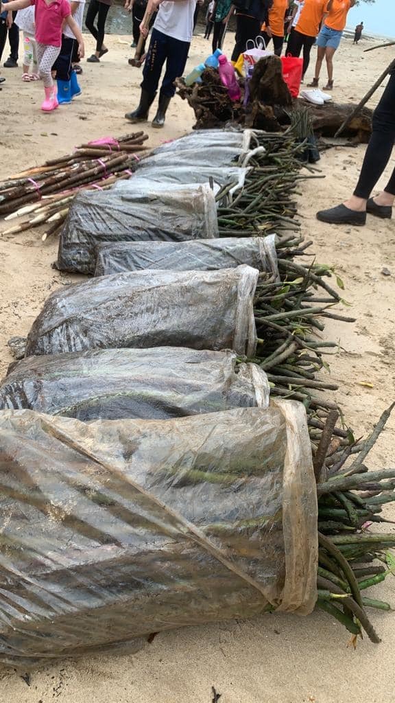 关丹孝慈福利社植树活动