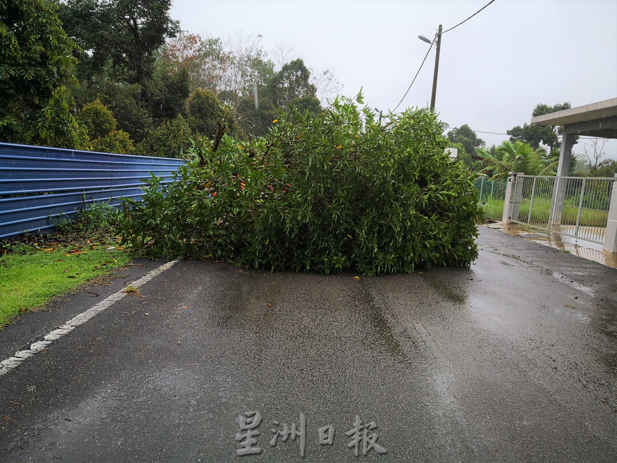 东:冒雨