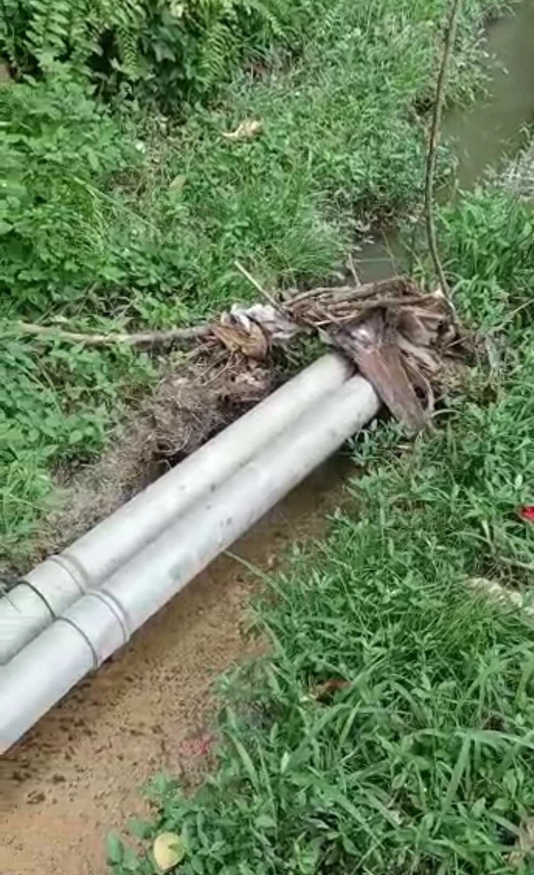 东:文德甲珍珠花园转出工业城大路逢雨必灾,马路上一片泥泞和积水。