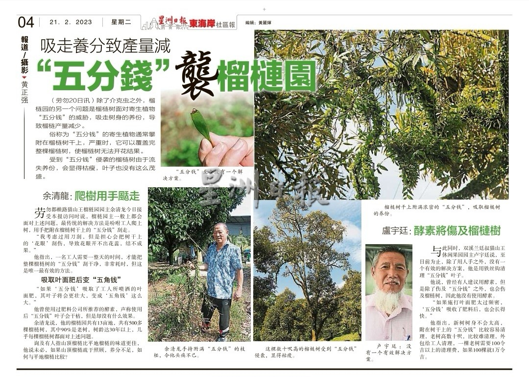 本报独家报道“五分钱”事件后,一位农业博士毛遂自荐解决方案