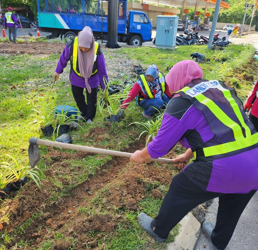 东：淡马鲁市议会进行提升和美化淡马鲁市区衔接梅雅花园十字路口处的布置工程。