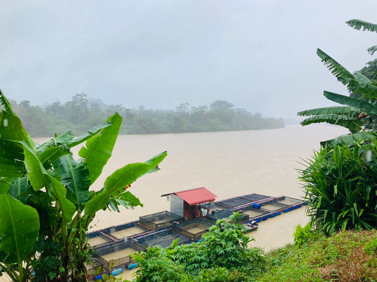 东:瓜拉吉挠下长命雨 排水不及足球场积水