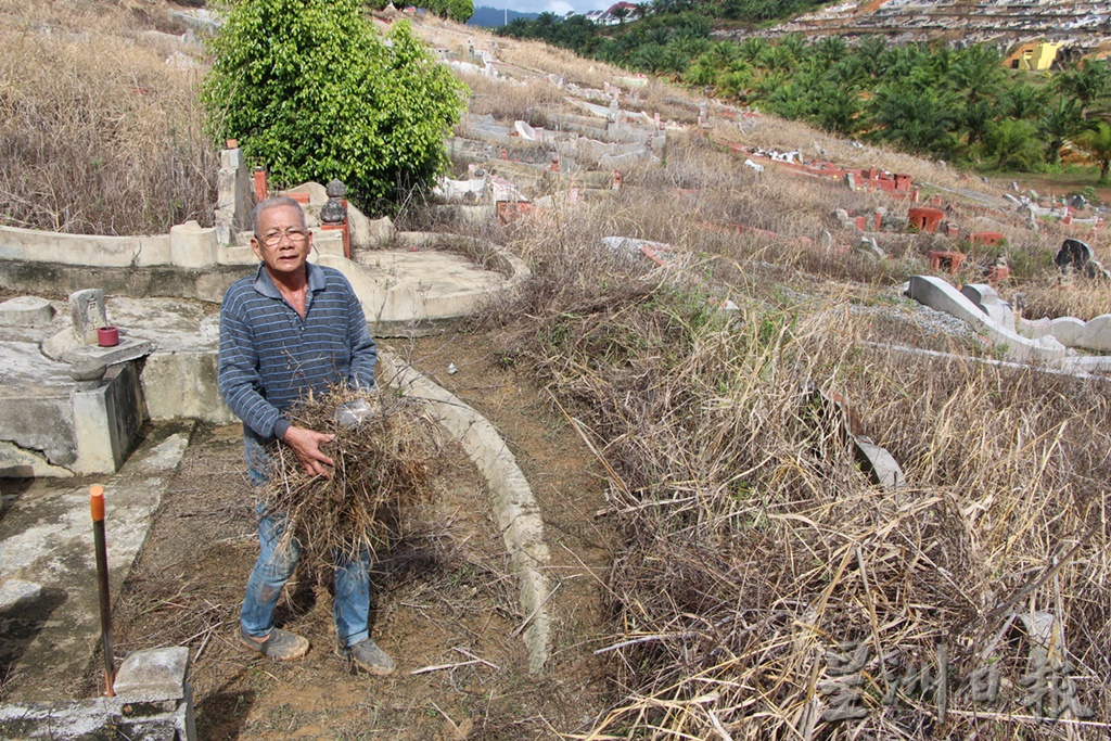 东:许多在外地谋生的游子私下聘请工人清理墓地,方便一家大小回来扫墓