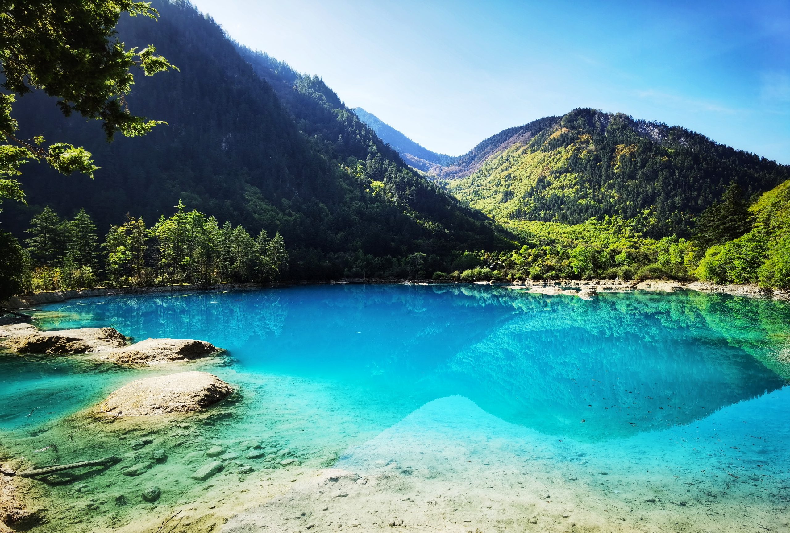 九寨沟饭店惊传“假酒宴客” 多人中毒已致1死亡1失明