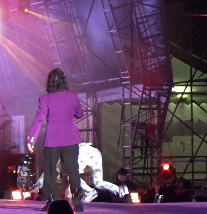 任嘉宾兴奋唱又跳 70岁锺镇涛失衡仆跪地