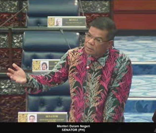 修宪允海外产子公民权 赛夫丁:需先探讨双重国籍问题