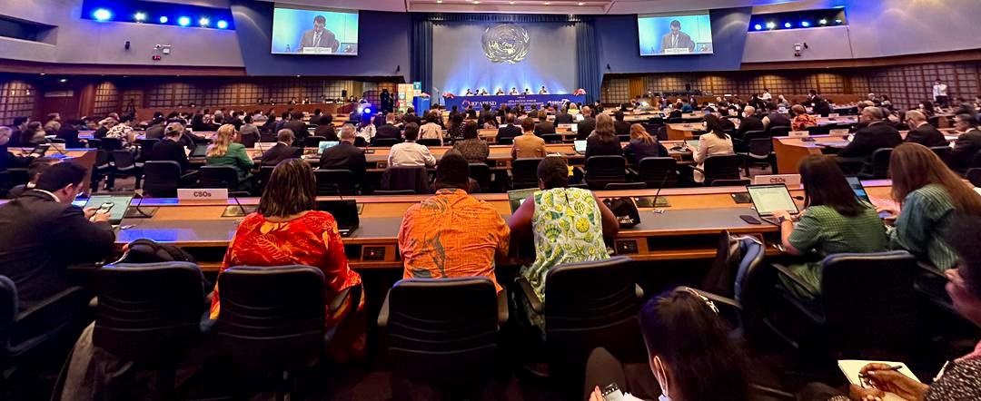 倪可敏:全球必须减少冲突,寻求合作共赢