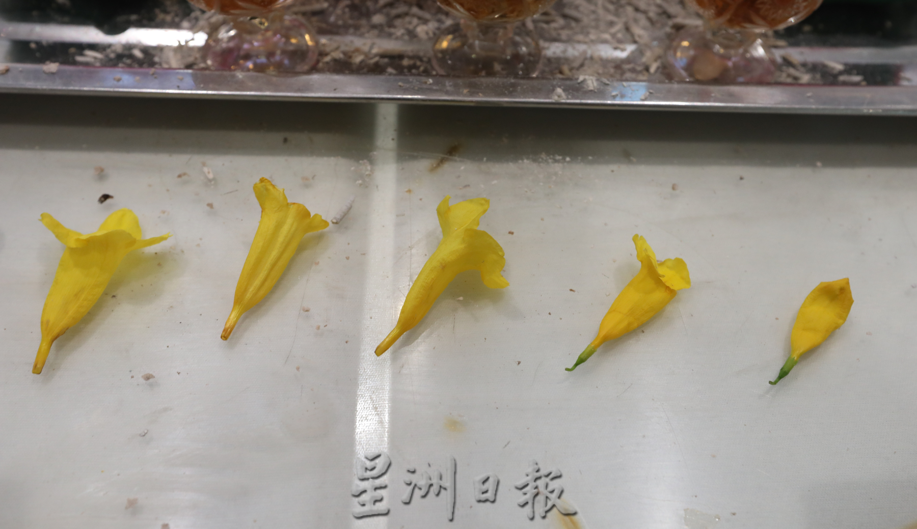全国:风雨中送别资深报人林明华