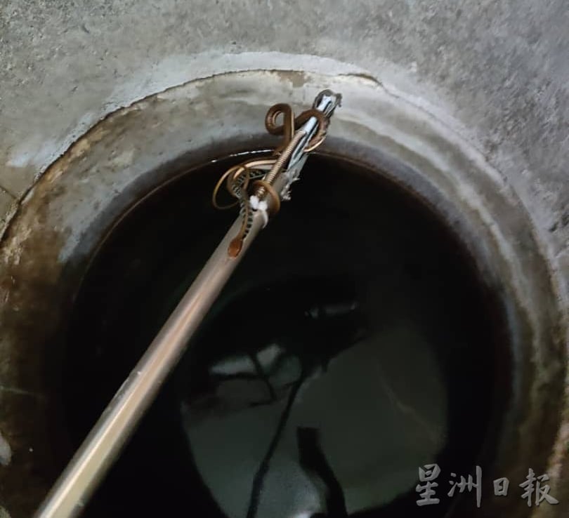 出走树林犯境 义消民防队忙捉蛇