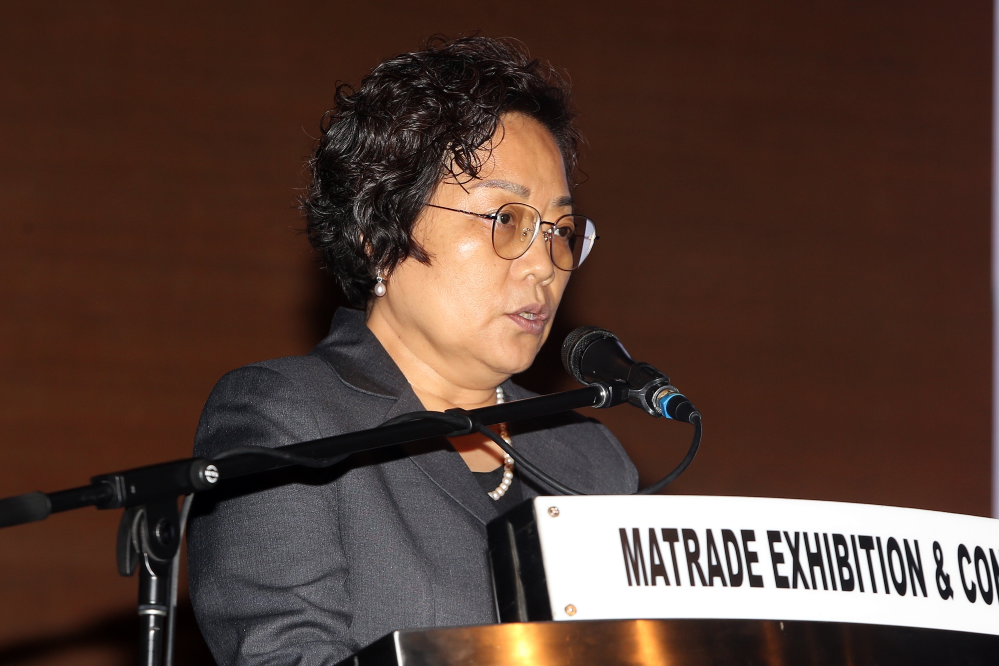 刘镇东:第20届中国 东盟博览会