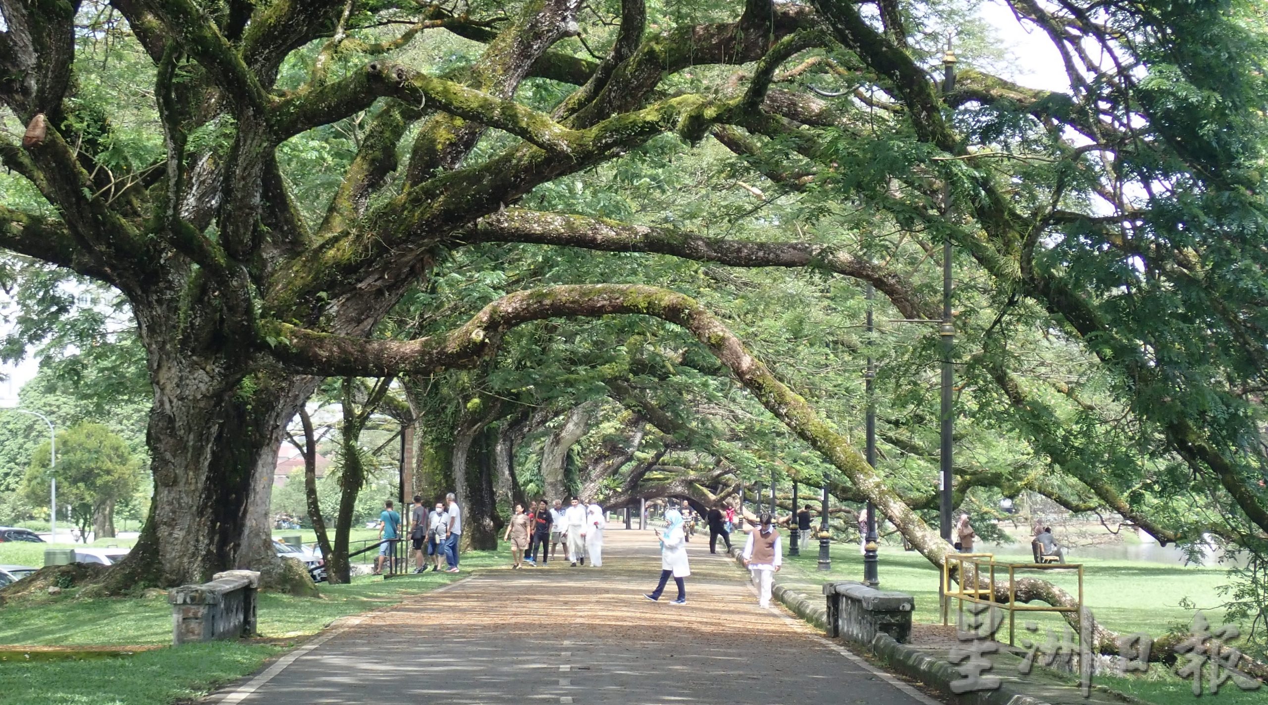 受多重因素影响 学校长假太平旅游业慢热