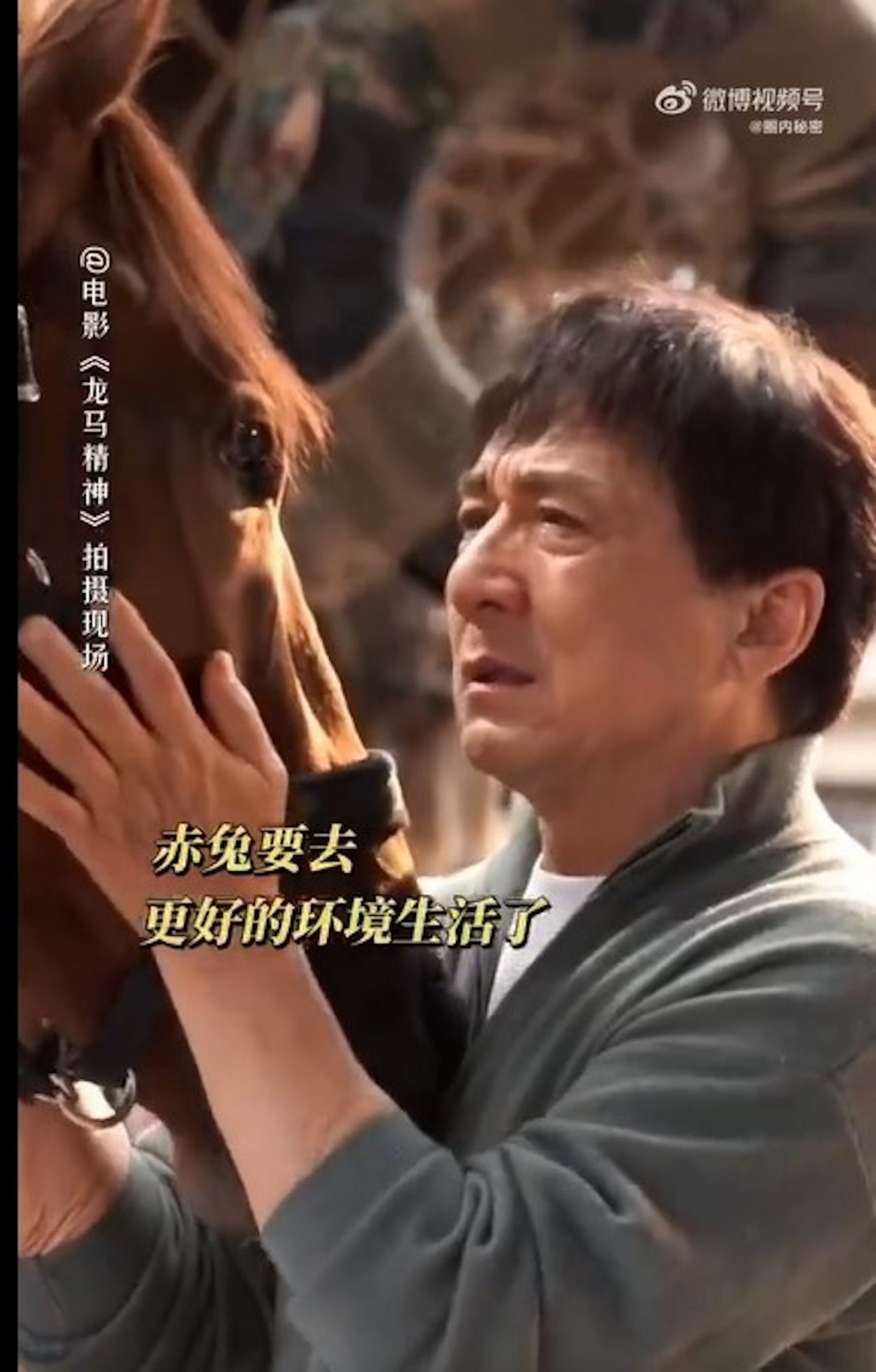 吴京客串却被放大宣传 成龙新片被骂又蹭又骗