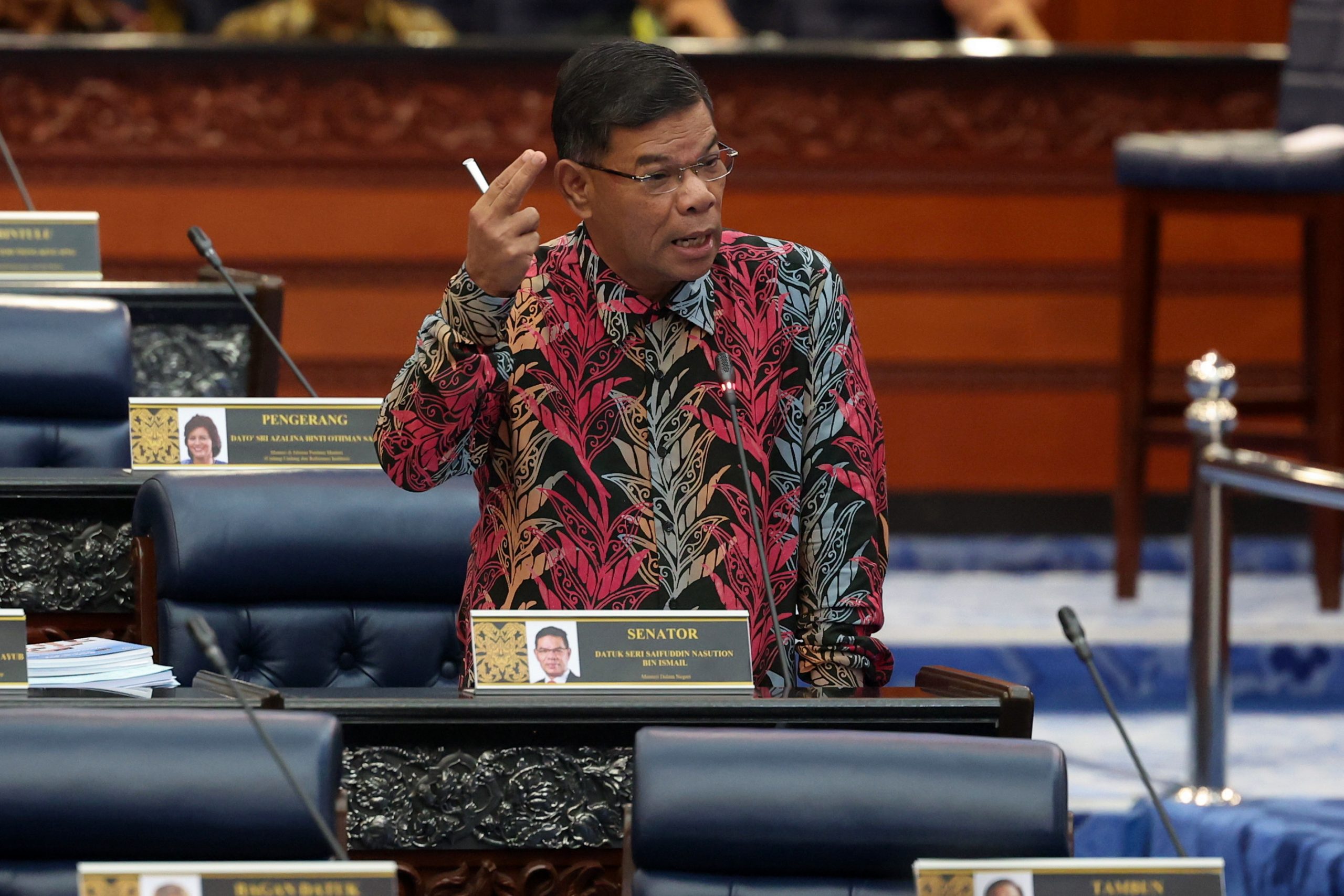 国会 赛夫丁回海外产子课题