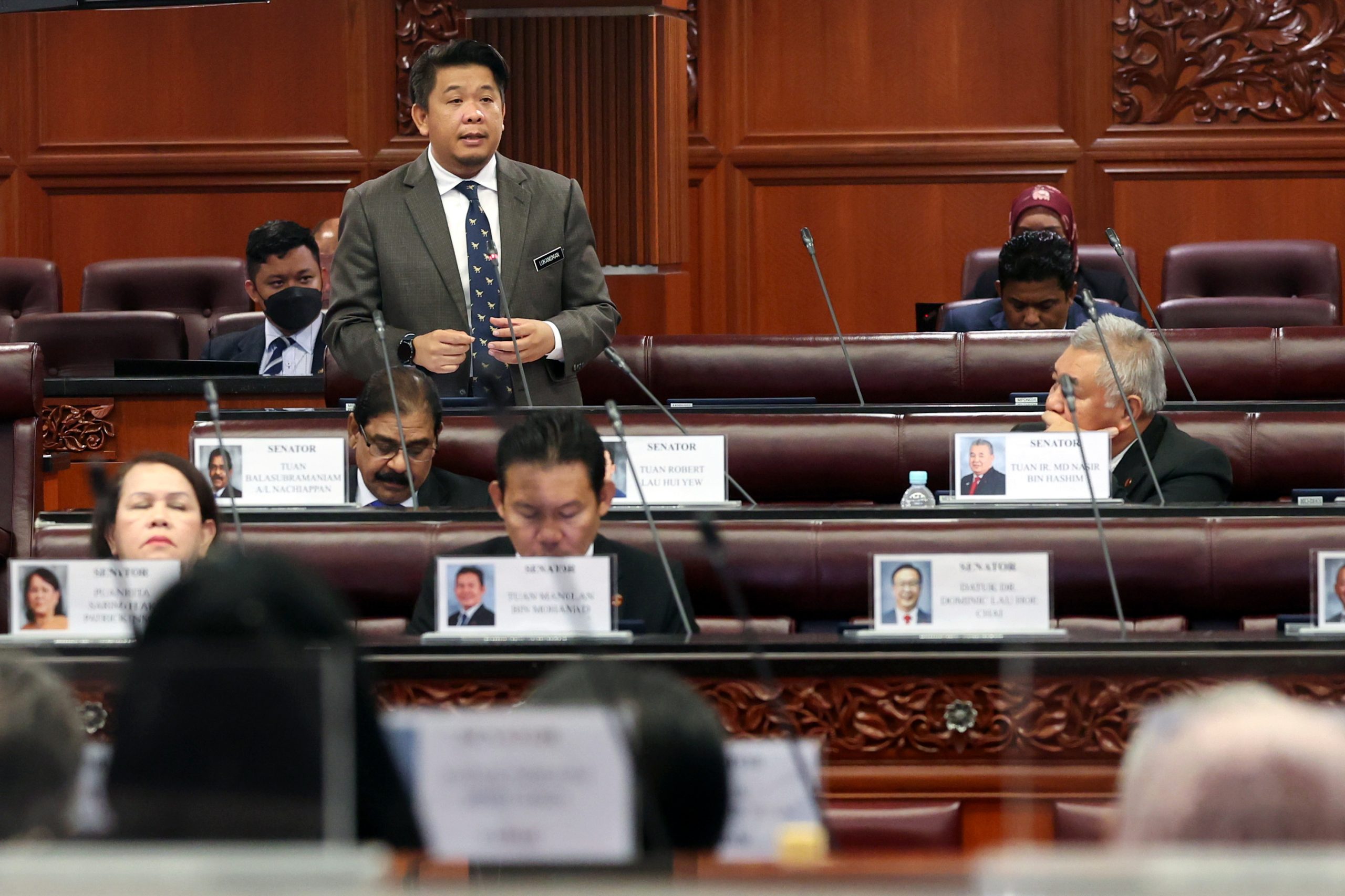 国会上议院 鲁卡尼斯曼