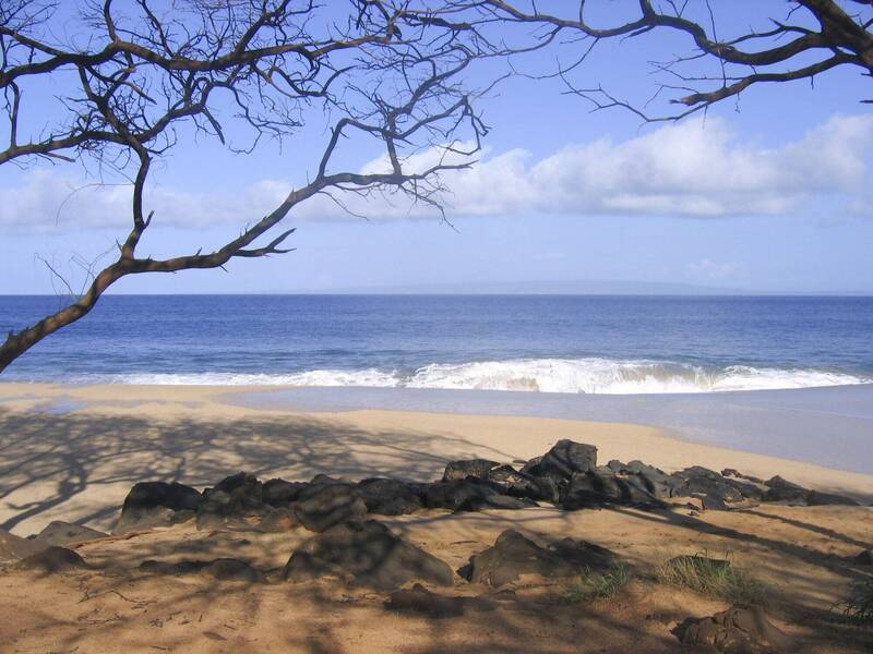 夏威夷度蜜月出海遭丢包 新婚夫妇海泳1小时上岸求偿2233万令吉