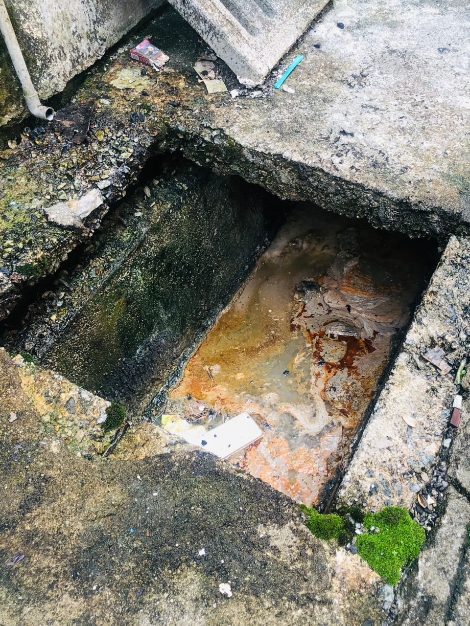 多涉环境卫生问题 J-Force 17天开逾400罚单