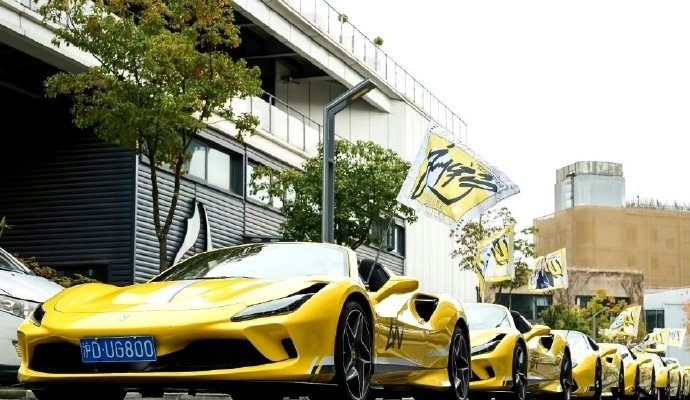 大批粉丝瘫痪场馆《微博之夜》红毯直播临时取消！