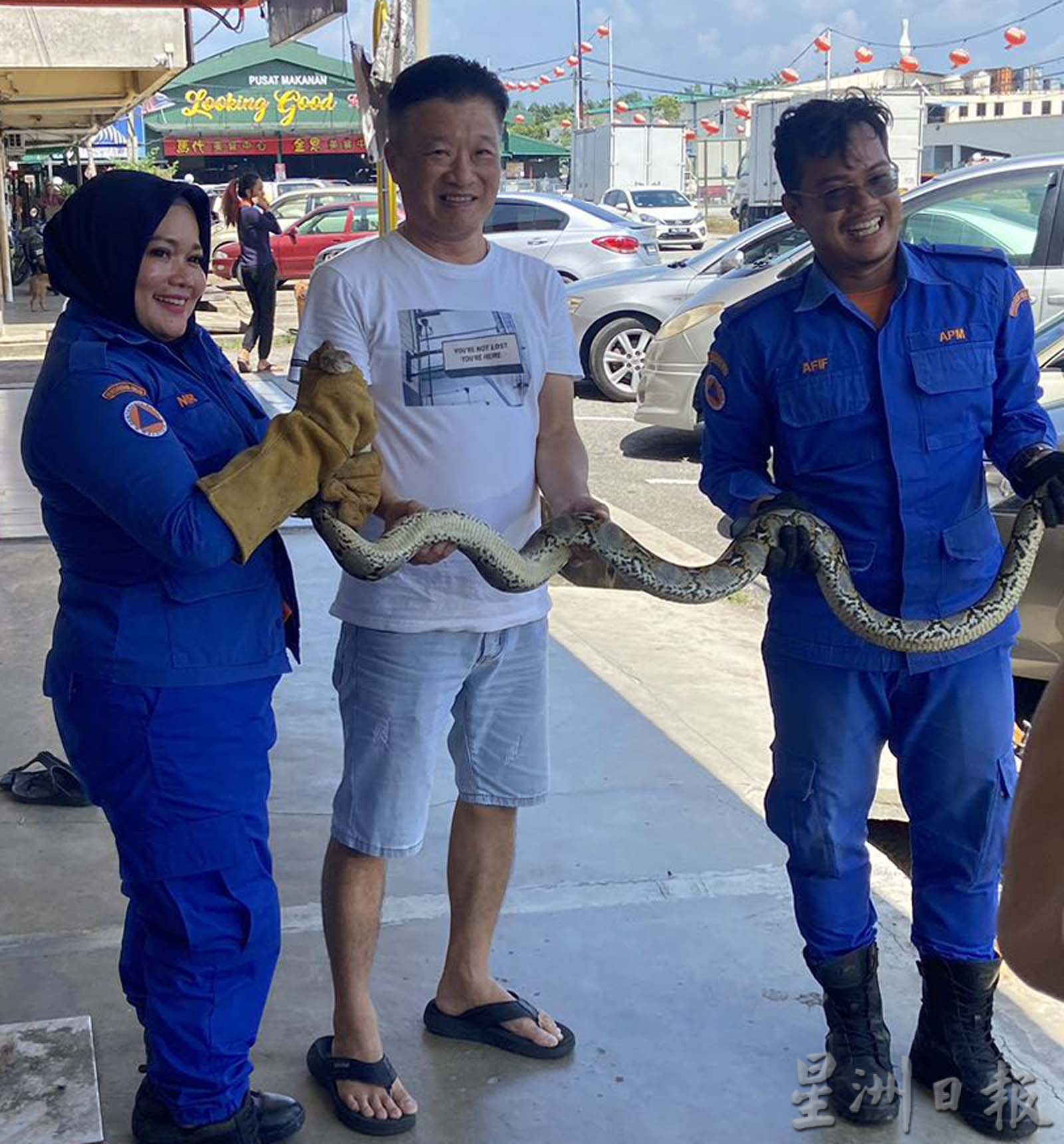 大蟒蛇大热天 爬进车引擎“乘凉”