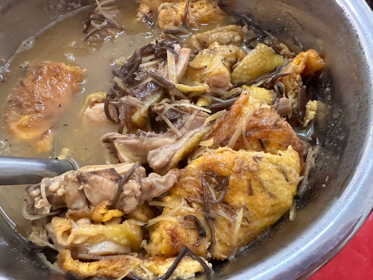 大都会-专栏：马拉妹出闸