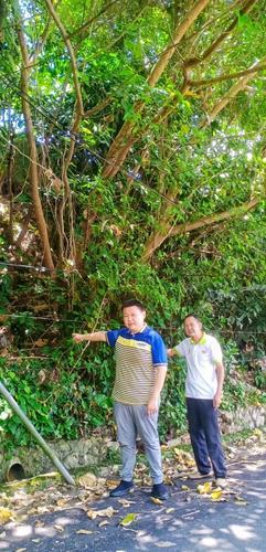 大都会-沙登新村又出现一处严重沟渠渠道崩塌