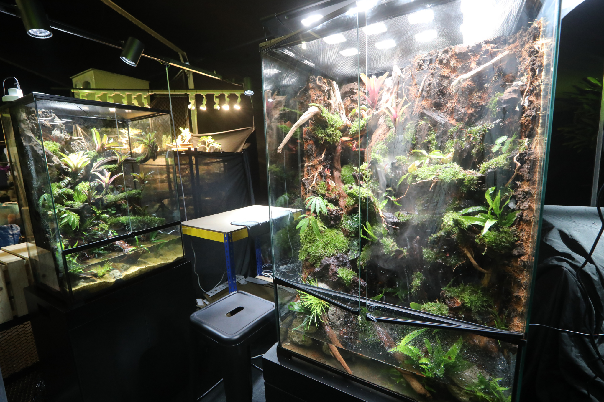 大都会-画页/吉隆坡公园节