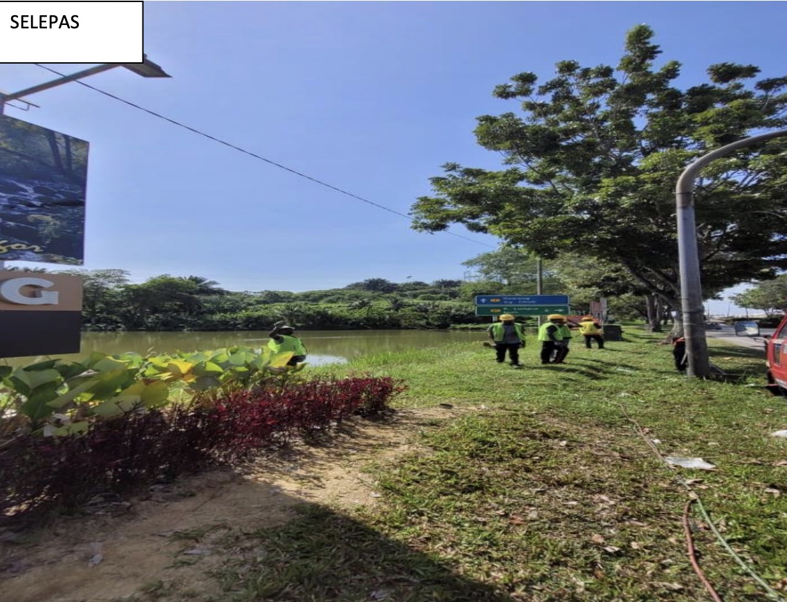 大都会:乌雪市议会拆非法巨型广告牌/7图