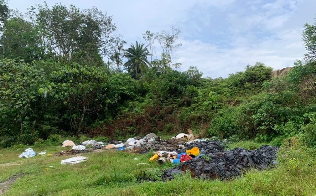 大都会:乱丢垃圾就充公垃圾车/5图