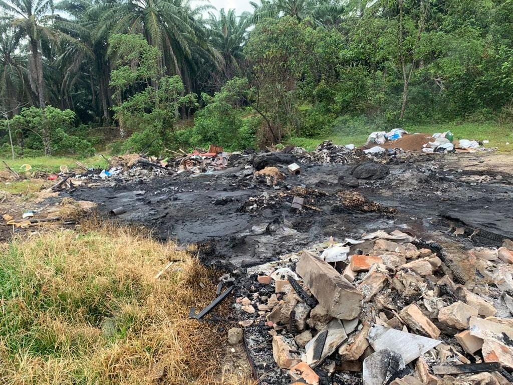 大都会:乱丢垃圾就充公垃圾车/5图