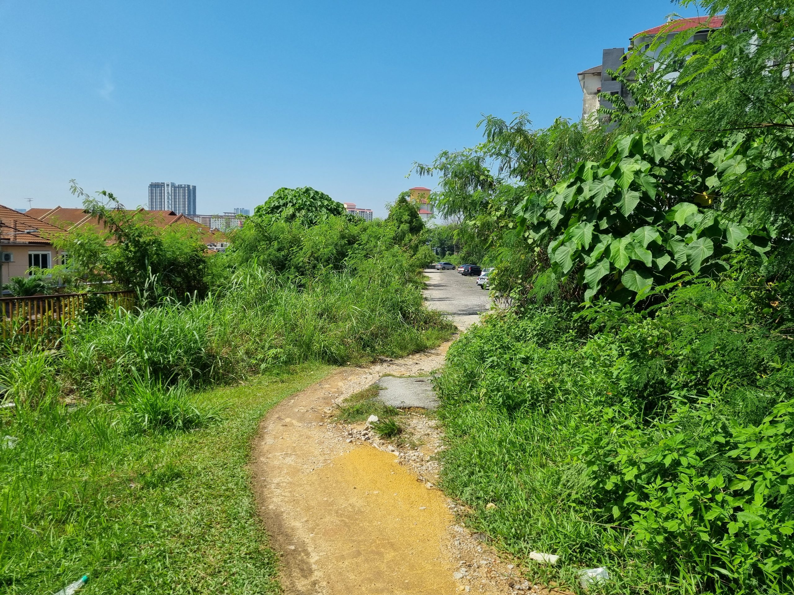 大都会/余保凭促市政局批准拨款开辟迷失公路 4图