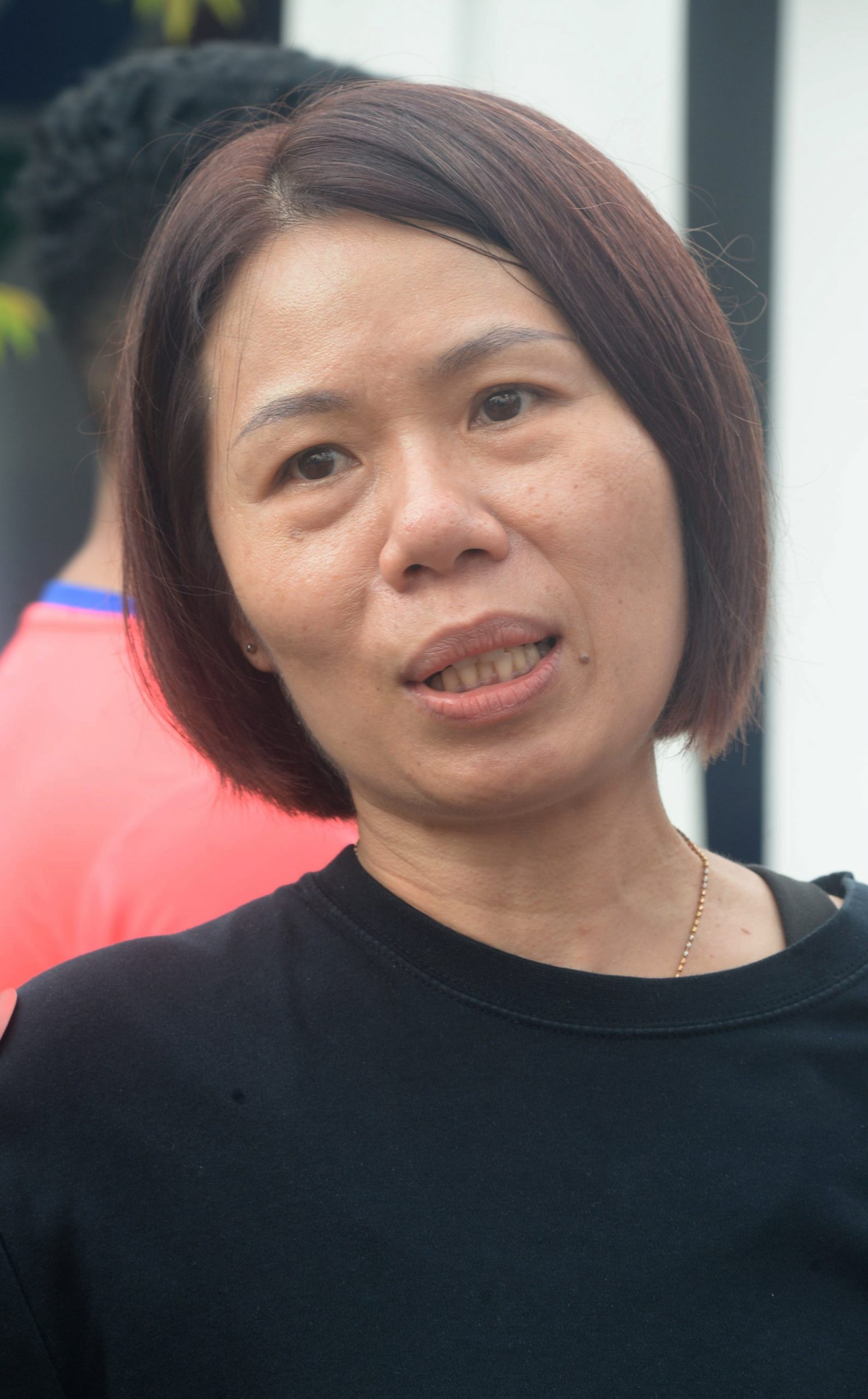 大都会=吉隆坡公园节吸引民众参观
