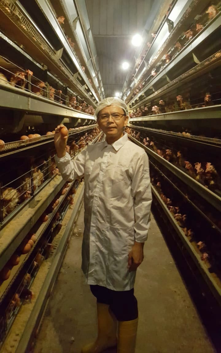 大都会/都市全视角-进封底的照片——鸡蛋荒?