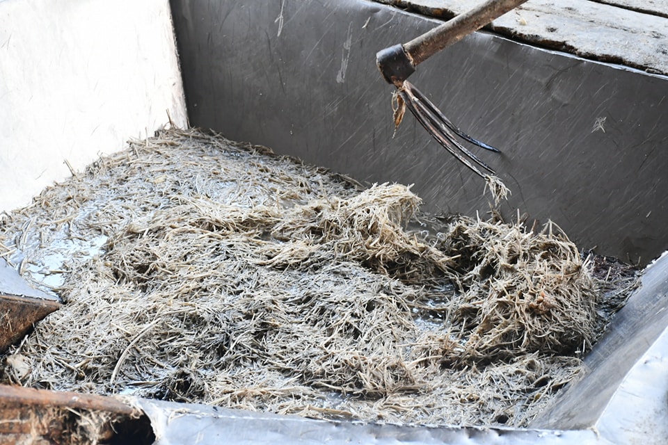 大都会/非法工厂死灰复燃