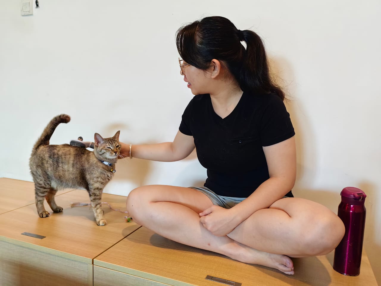 大霹雳封底主文/【我家萌宠】/收编猫咪成家里一份子