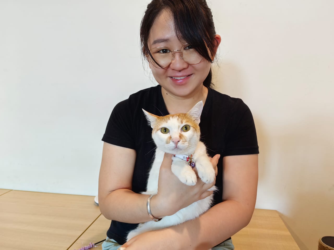 大霹雳封底主文/【我家萌宠】/收编猫咪成家里一份子