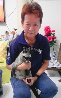 大霹雳封底主文／【我家萌宠】／果子狸