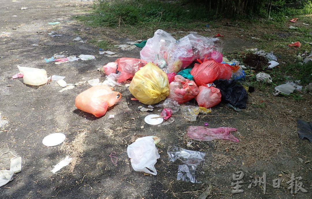 太平市议会:对付垃圾虫 探讨提高罚款