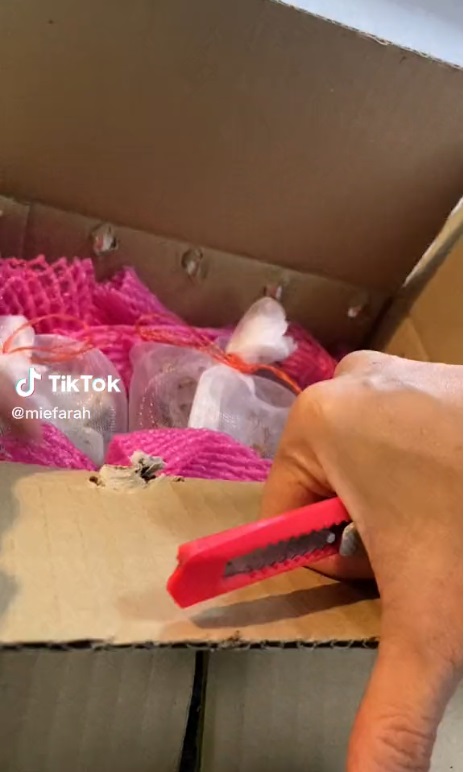 女子开箱视频让人发毛 网惊:她买“小强”来养!