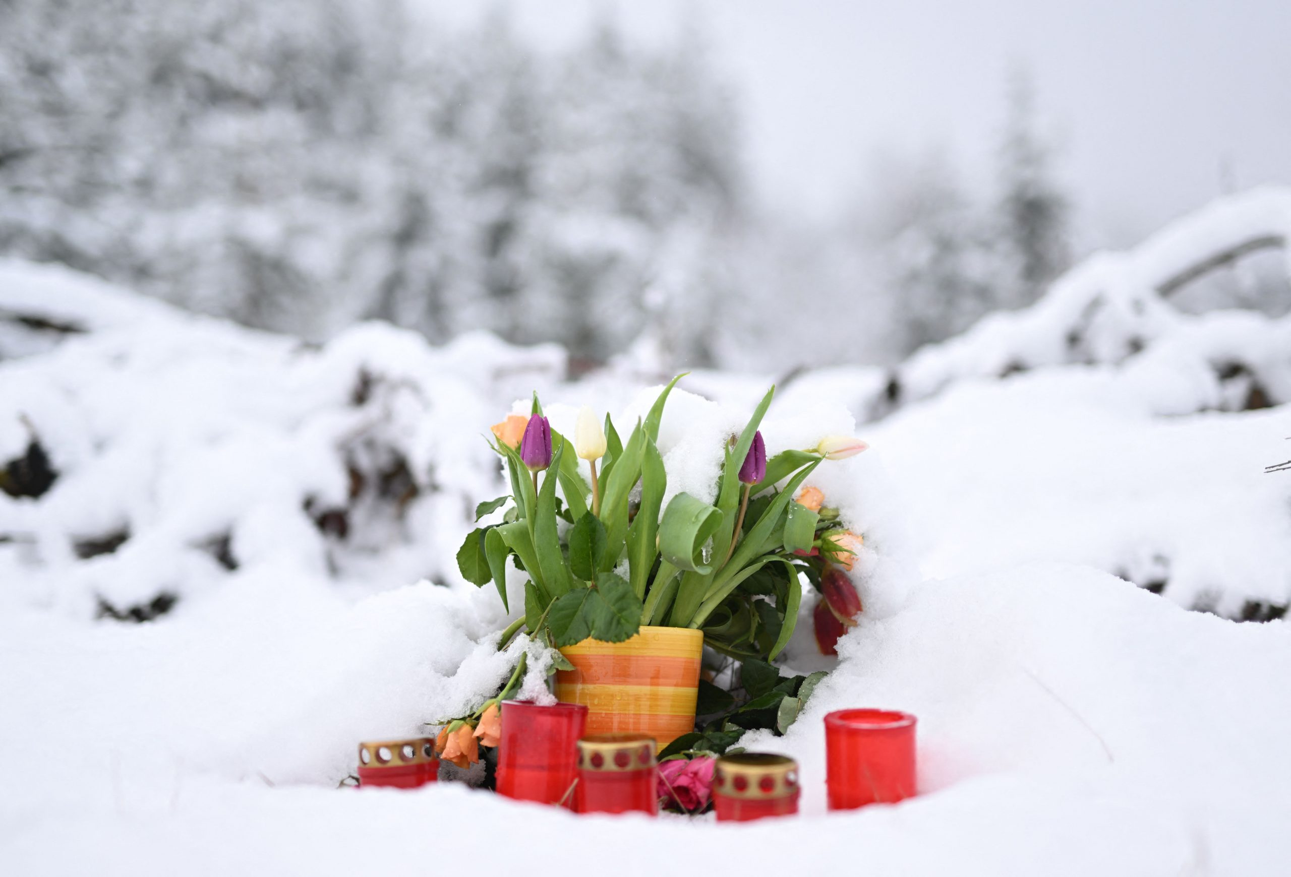 女童遭砍30刀弃尸树林 2女同学干案却不能提控