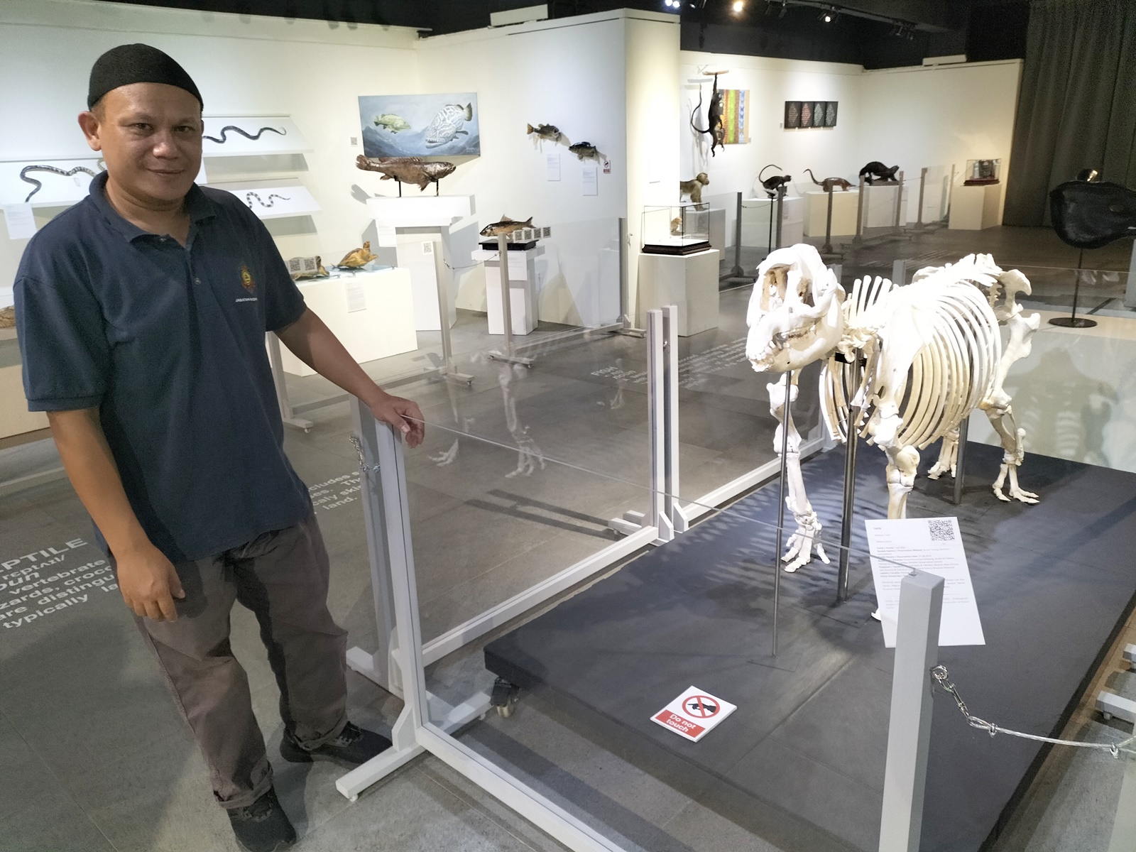 封面/请签发(大北马)结合科学和艺术 剥制师为动物尸体注入新生命