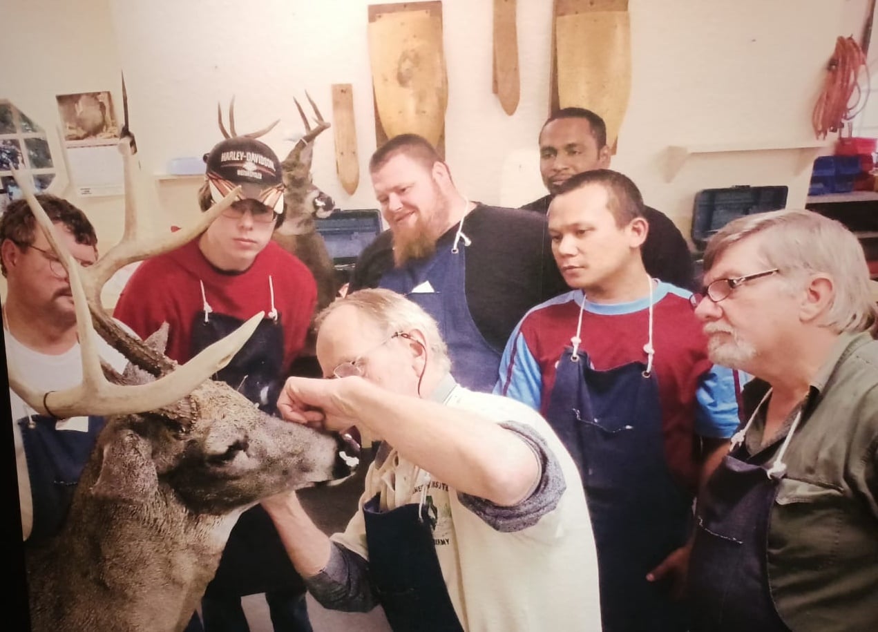 封面/请签发(大北马)结合科学和艺术 剥制师为动物尸体注入新生命