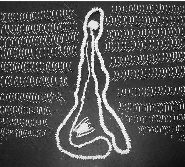 封面/请签发(大北马)结合科学和艺术 剥制师为动物尸体注入新生命