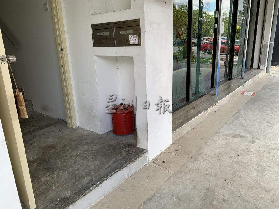 被虐浪浪叫“妈咪”，被寻获时伤痕累累躲藏怕再被打