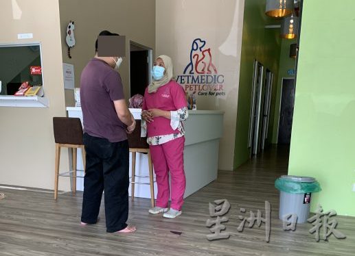 施虐者母亲友人想探望伤狗并献议承担医疗费,皆被女兽医回拒