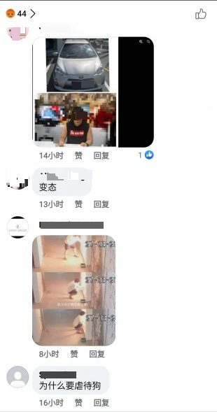 施虐者被网民起底,祖父母窗帘店社媒专页被灌爆