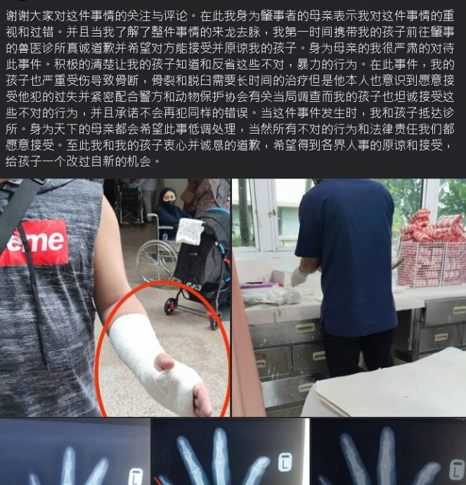 【虐狗案】:自称男子母亲道歉:儿子承诺不再犯并愿承担法律责任
