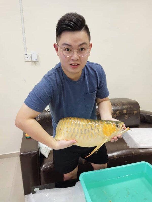 **已签发**柔︰封底:【宠物萌萌哒】︰对龙鱼情有独锺,郑善勇还会帮忙整容