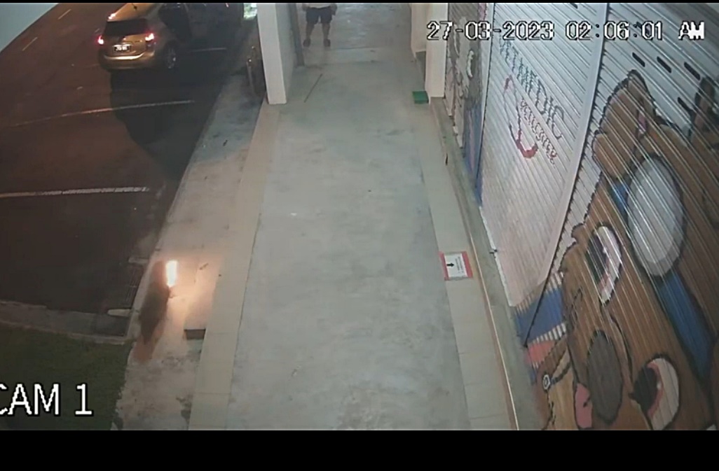 **已签发**柔：声称曾被被狗追，男子多次殴打又烧狗报复