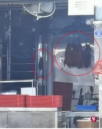 *已签发*柔:狮城二三事:狮城1咖啡店 烧鸭旁鼠乱窜