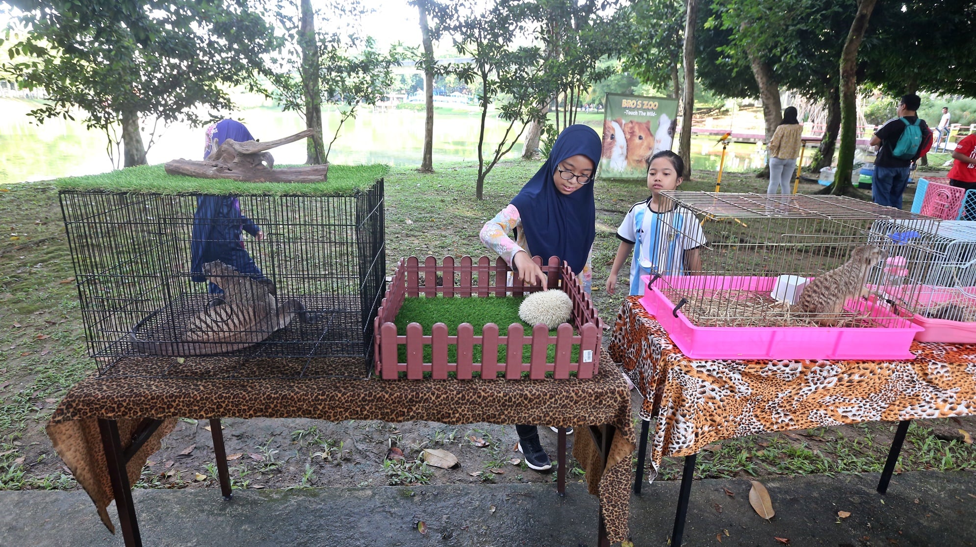 市长:计划书呈UNICEF 灵料将膺儿童友善城市